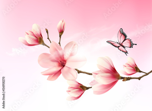 Nature background with blossom branch of pink flowers and butter © ecco