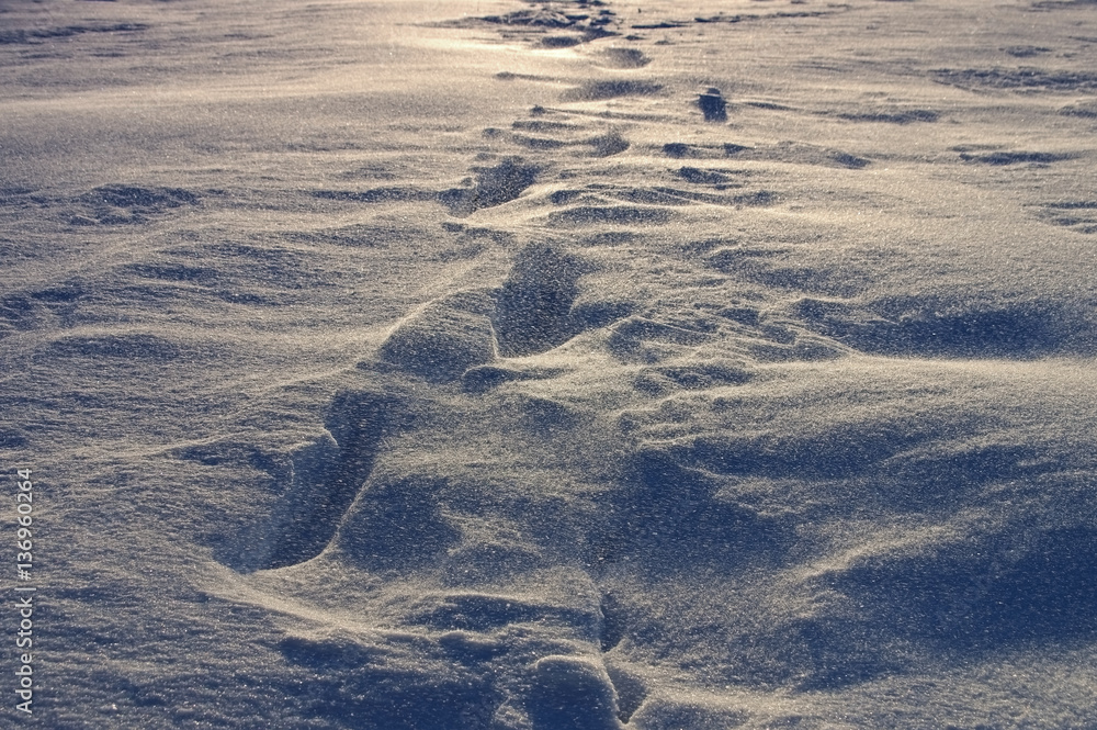 Schnee weht im Winter - snow is blowing in the winter Schnee weht im Winter - snow is blowing in the winter