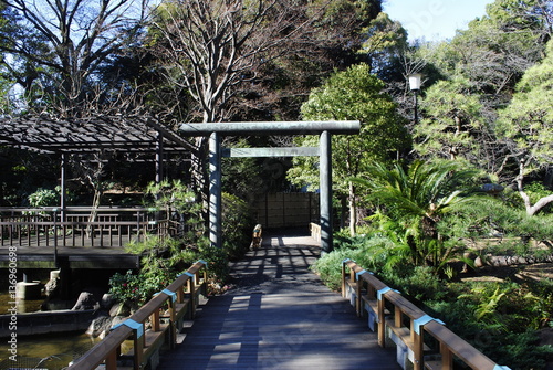 Jardin, Parc / Harajuku