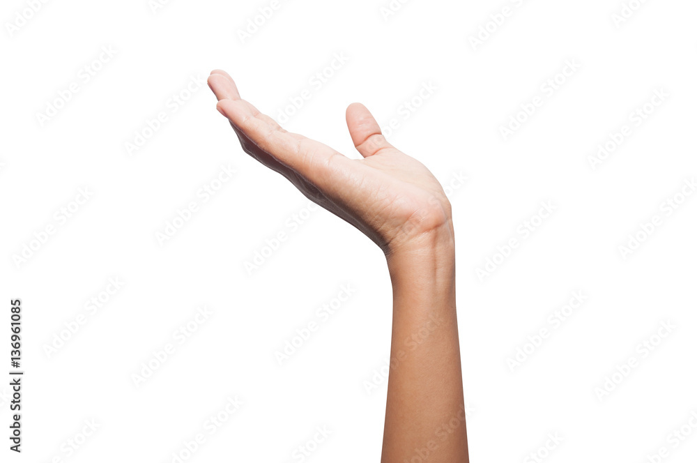 beautiful woman's hand isolated on white background