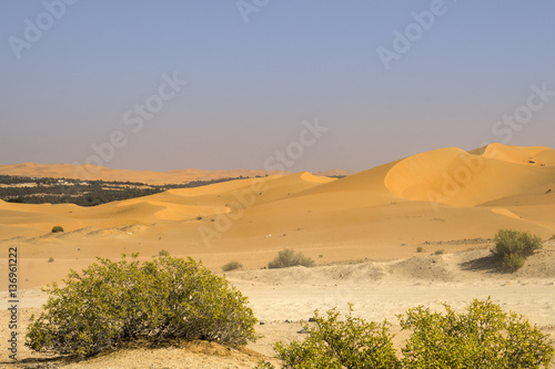 sand dunes and oasis view