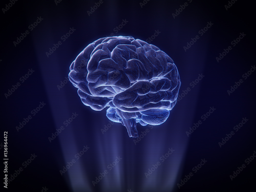 brain Hologram Wireframe Style.3D rendering brain Hologram Wireframe Style.3D rendering