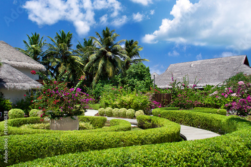 Tropical garden on exotic island