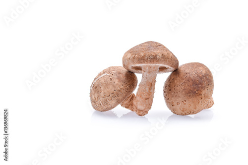 Shiitake Mushrooms isolated on white background