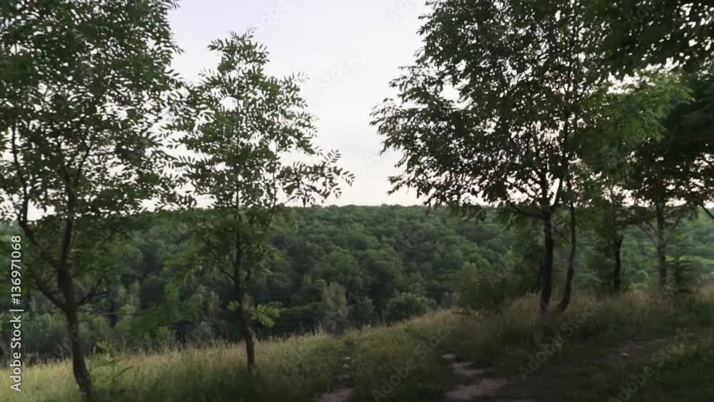 Nature, walking and recreation. Spring field in blossom at countryside. Beautiful landscape with plants, herbs and flowers at sunset. Slow motion. Nature, walking and recreation. Spring field in blossom at countryside. Beautiful landscape with plants, herbs and flowers at sunset. Slow motion.