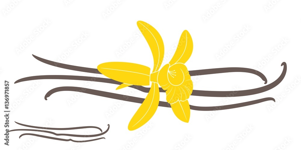 Fototapeta premium Vanilla sticks with flowers