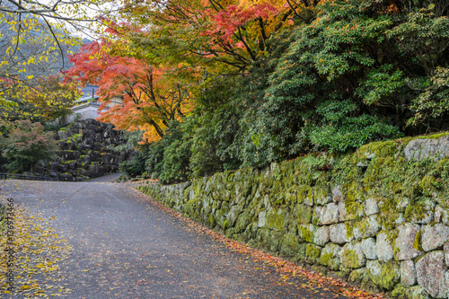 Romantic autumn road in Miyajima  Japan