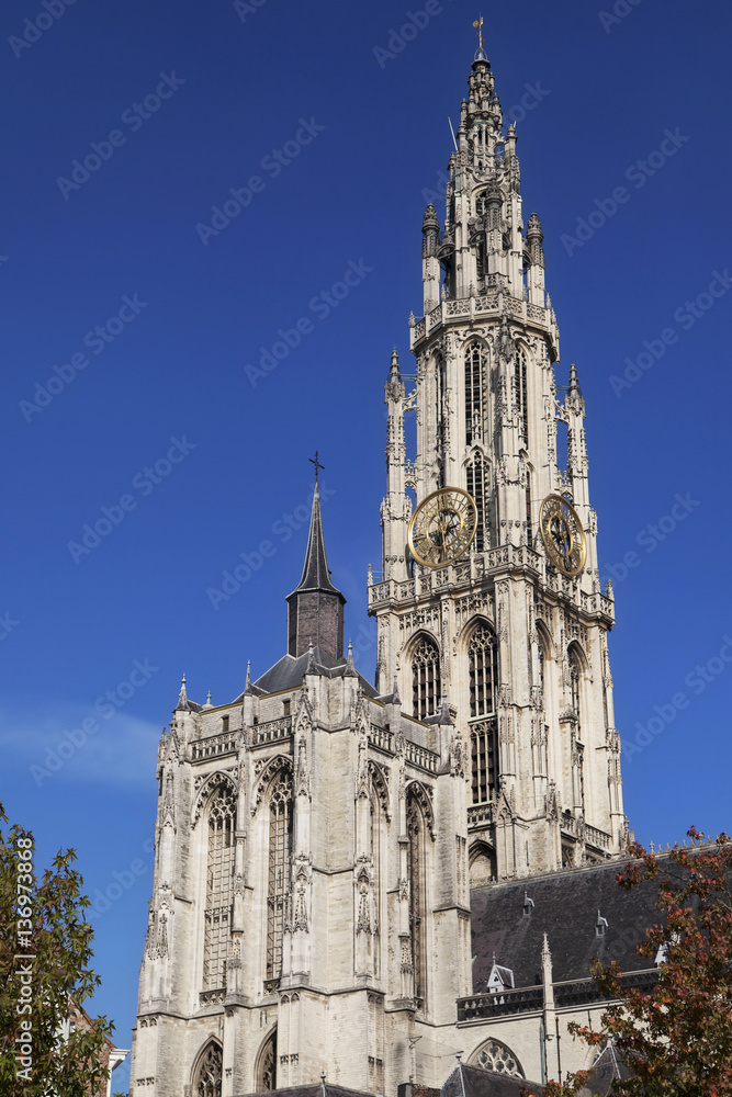 Antwerp Cathedral Towers