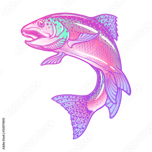 Realistic intricate drawing of the rainbow trout jumping out. Pastel color hand drawing isolated on white background. Concept art for horoscope, tattoo or colouring book. EPS10 vector illustration