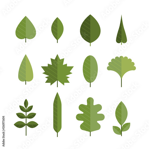 Set of different flat green leaves.