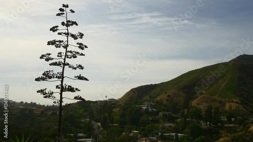 summer day los angeles hollywood hills panorama 4k usa
