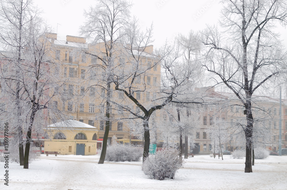 Winter landscape in the city.