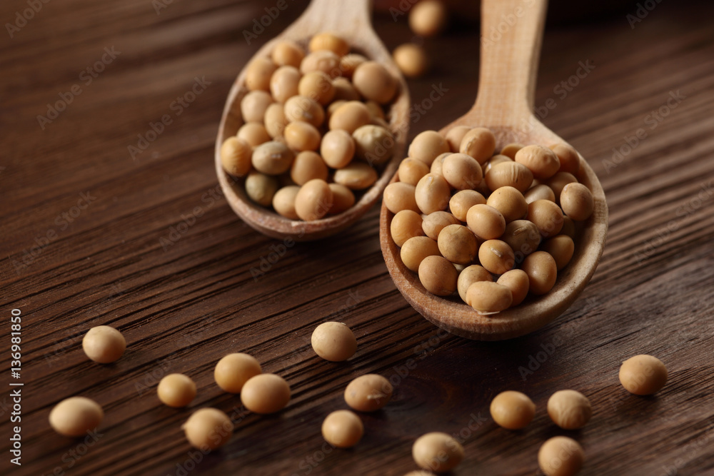 soy bean soy bean