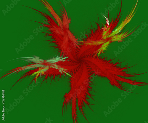 a fractal star of feather