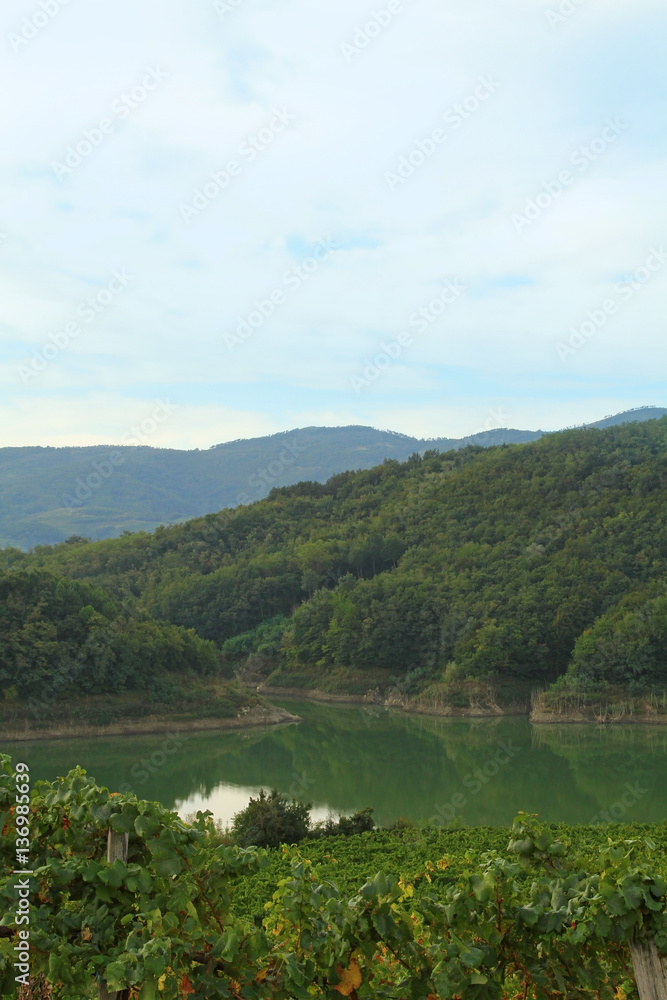 Vipava green valley