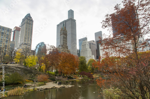 New York - Central Park © Alessandro Lai