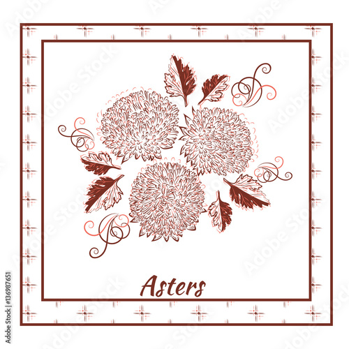 A beautiful bouquet of asters in a frame on white background