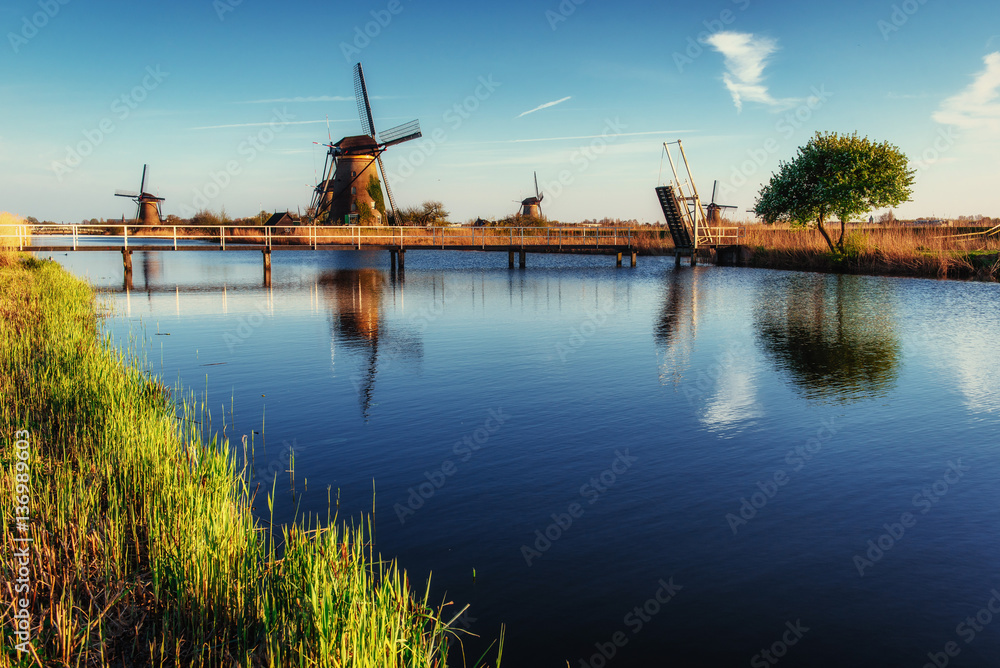 Colorful spring day with traditional Dutch windmills canal in Ro