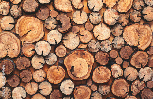Abstract photo of a pile of natural wooden logs wall as background  top view