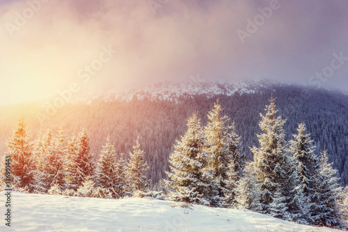 Mysterious Winter landscape with fog, majestic mountains in the 