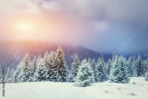 Mysterious Winter landscape with fog, majestic mountains in the 