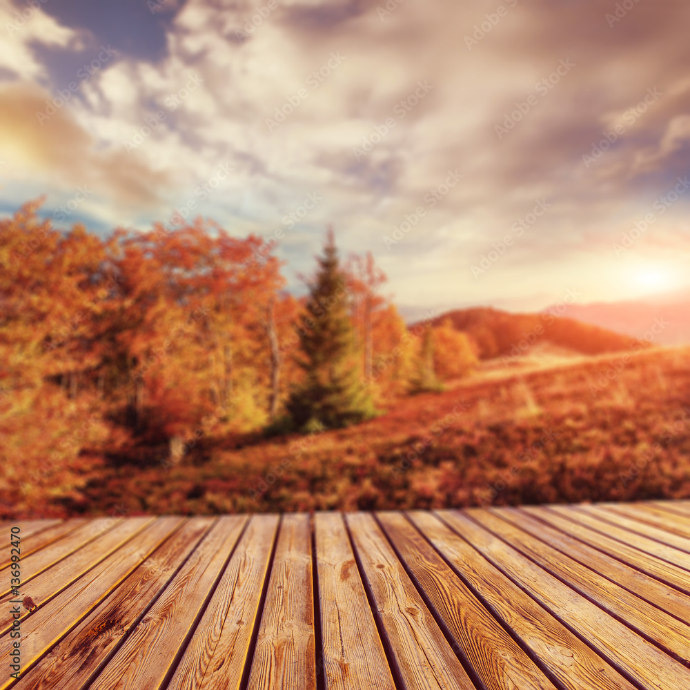 Natural blurred background. Soft light effect. Natural blurred background. Soft light effect.