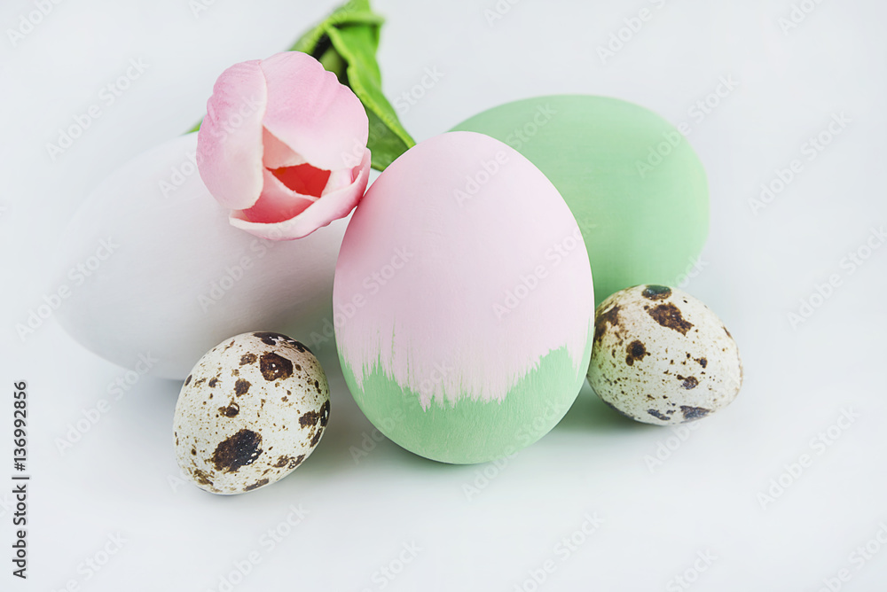 easter concept/easter eggs hand painted and one pink tulip flower on white background