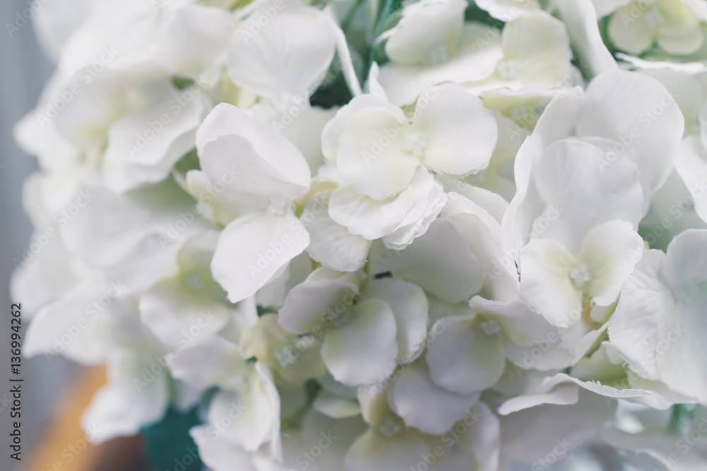 Closeup macro still life of beautiful spring blooming white flowers hydrangea, artificial fake handmade Closeup macro still life of beautiful spring blooming white flowers hydrangea, artificial fake handmade