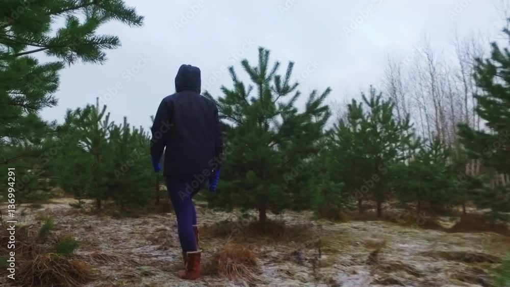Girl walking between the trees, across the winter field. Super slow motion footage. Girl walking between the trees, across the winter field. Super slow motion footage.