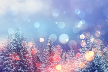 magical winter landscape, background with some soft highlights a