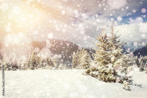 magical winter landscape, background with some soft highlights a © standret