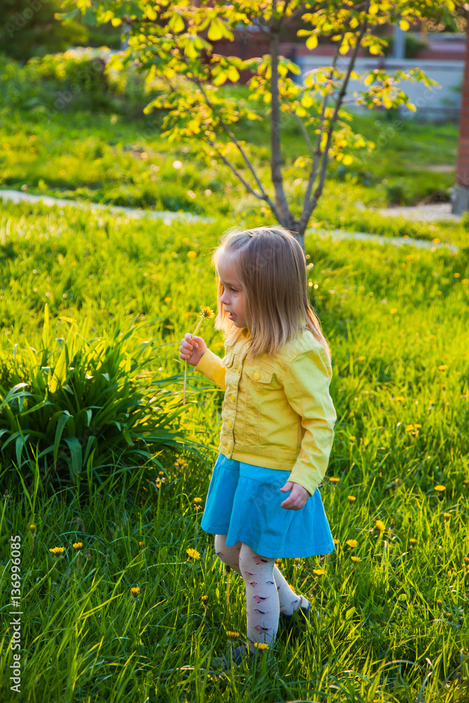 Pretty small baby girl looking for dandelions on a summer field Pretty small baby girl looking for dandelions on a summer field