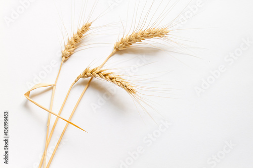 Hard wheat on white cardboard, close up