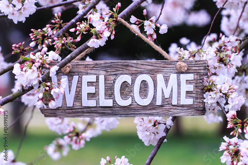 Fotografie Welcome sign hanging from tree with spring flowers