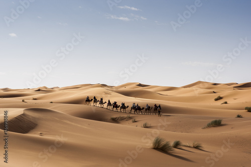 Caravana de camellos, Marruecos © Tomas