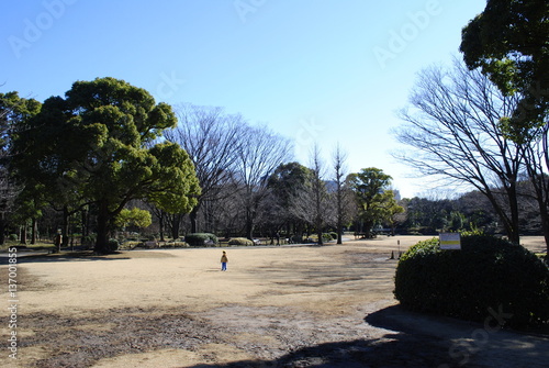 Kitanomaru Park / Chiyoda-Ku / Tokyo
