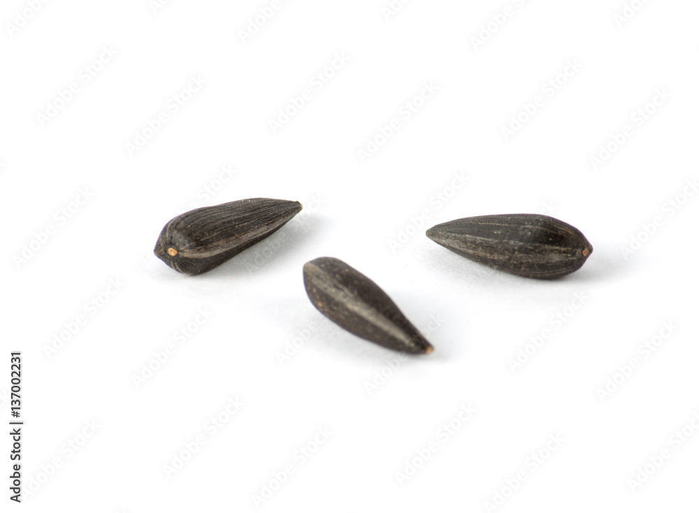 Fried sunflower seeds Fried sunflower seeds
