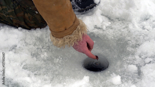 Fisherman catches a fish on ice fishing.
