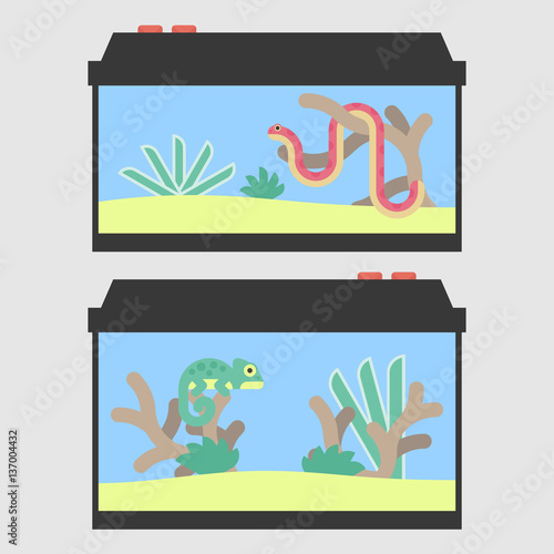 Reptile tanks