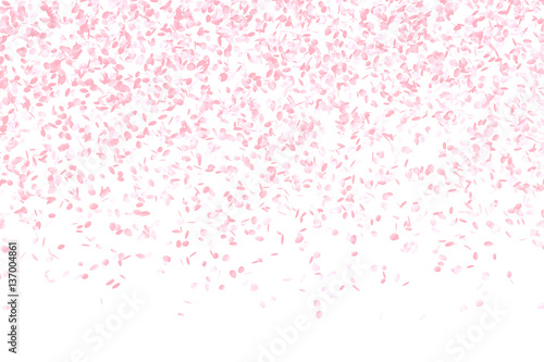 Pink Flower Petal Background
