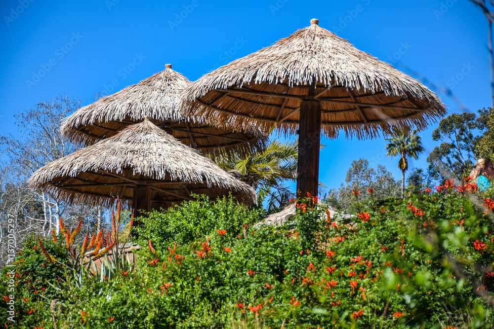 Tropical huts Tropical huts