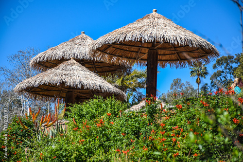 Tropical huts