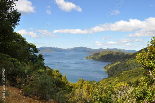 View from the Queen Charlotte Track  New Zealand