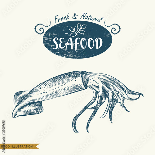 Hand drawn squid isolated on white background. Seafood elements sketch. Oysters vector illustrator. Retro style