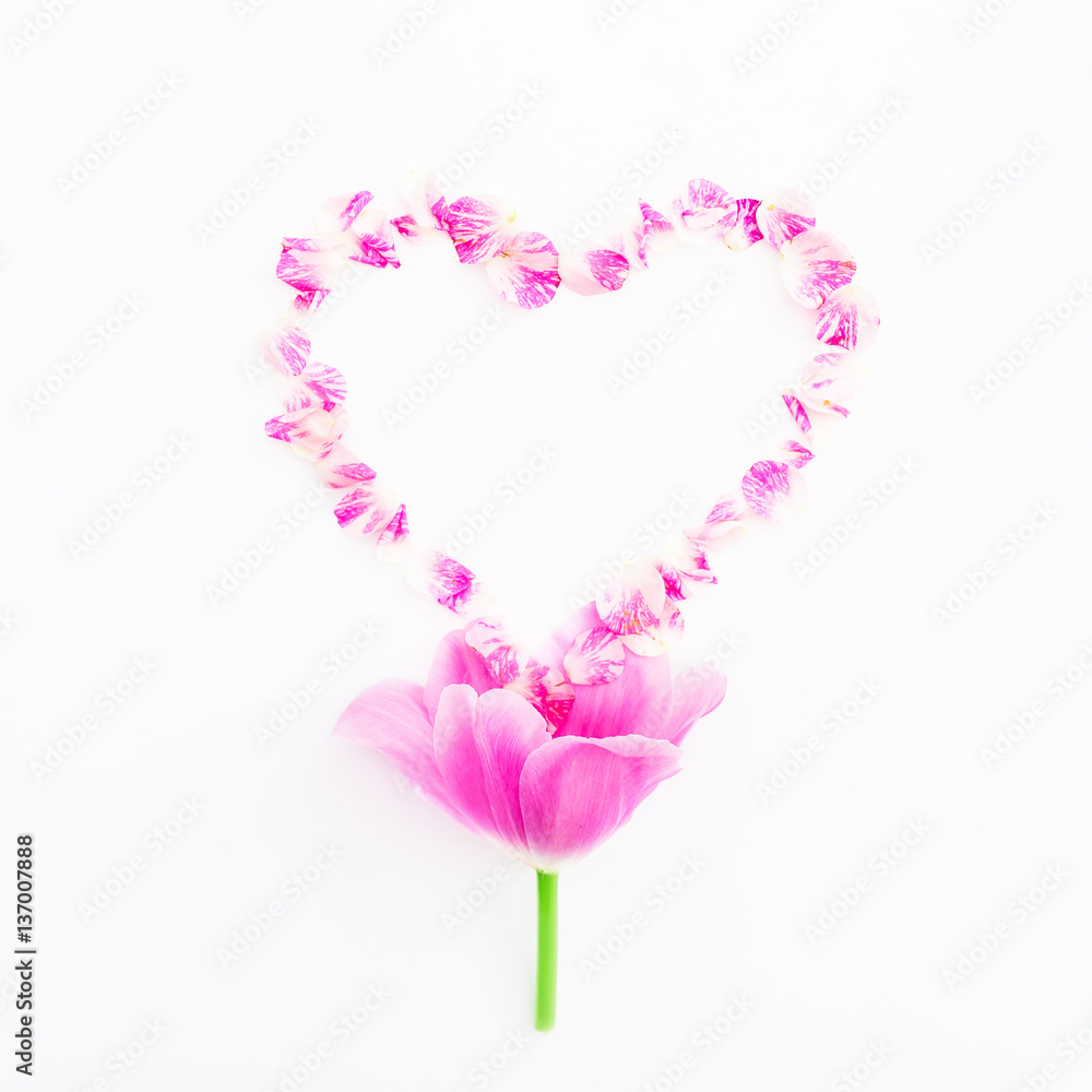 Tulip with roses petal isolated on white background. Heart symbol. Flat lay, top view.