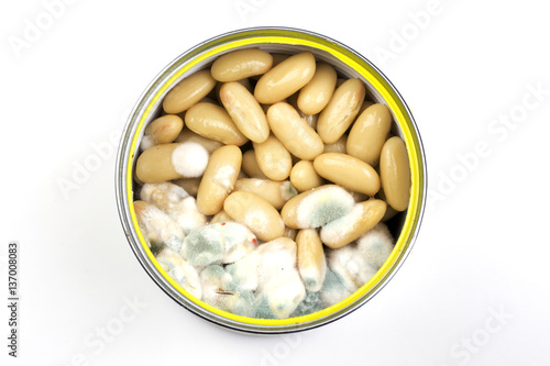 moldy white beans