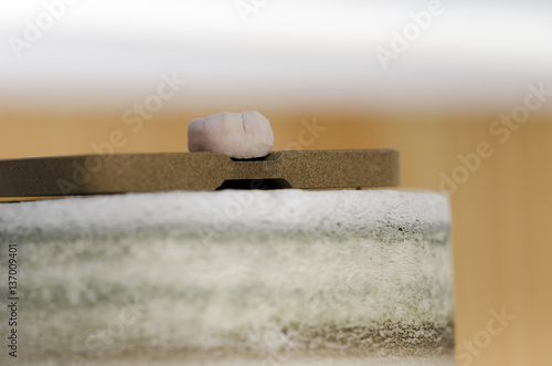 Detail of ceramic crowns in the furnace before it has been baked photo