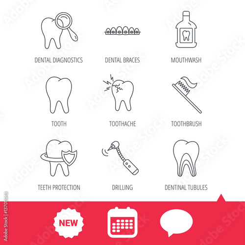 Tooth, dental braces and mouthwash icons. Diagnostics, toothbrush and toothache linear signs. Dentinal tubules, protection flat line icons. New tag, speech bubble and calendar web icons. Vector