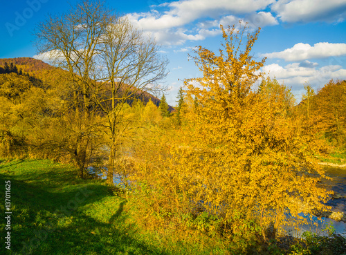 Autumn forest and sky and mountains and river