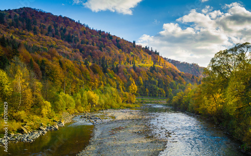 Autumn forest and sky and mountains and river